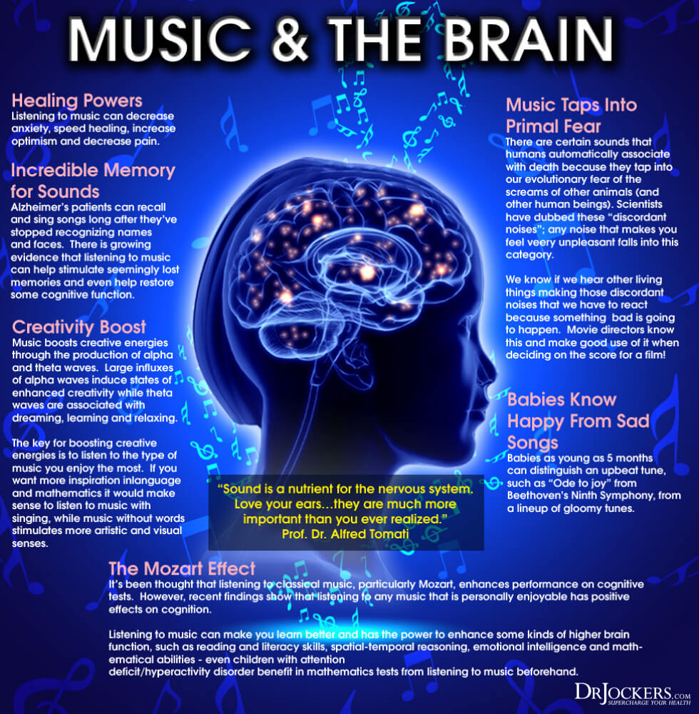 A diagram of how music and the brain are related